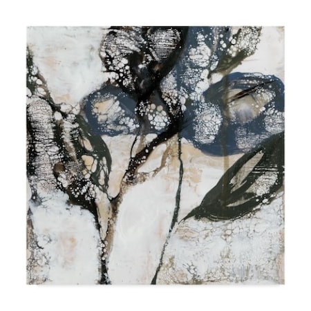 Jennifer Goldberger 'Crackled Stems I' Canvas Art,35x35